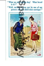 "What An Odd Looking Dog" No2211 Constance/ Donald McGill Vintage Postcard K06