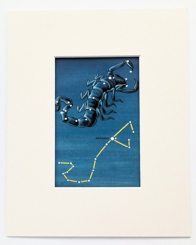 Scorpio constellation star - constellation,