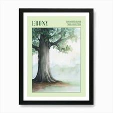 Ebony tree atmospheric - ebony,