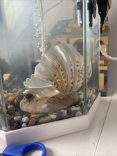 Pets At Home Fish Tank