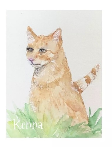 Aceo kenna original - aceo,