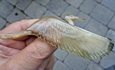 LARGE Art Deco French Horn IBIS Bird  Brooch - Elizabeth Bonte / Georges Pierre