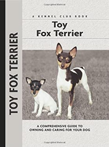 Toy fox terrier - terrier, hardcover