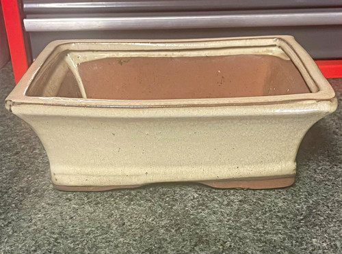 Bonsai pot rectangular - bonsai, ceramic