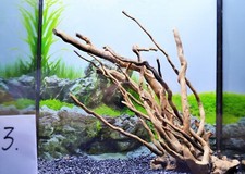 small red moor wood bogwood