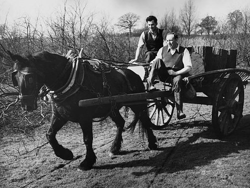 1952 british cricketers stuart - 1952,