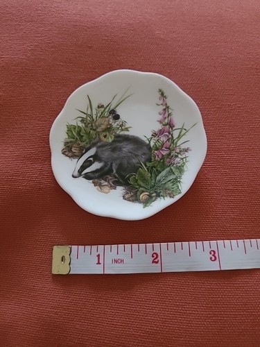 Badger themed collectors plate - themed,