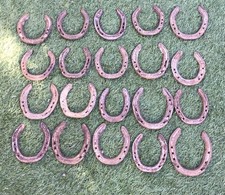 Used Real Horseshoes X 20