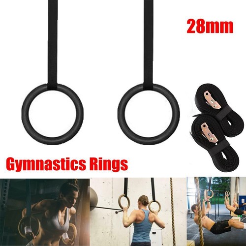 Gym workout birch training - gym,