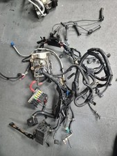 Ford Fiesta St150 Wiring Loom
