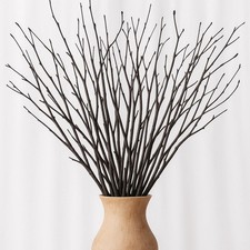 Birch Twigs Decorative Sticks