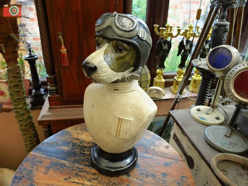 Charming racing driver dog - charming,