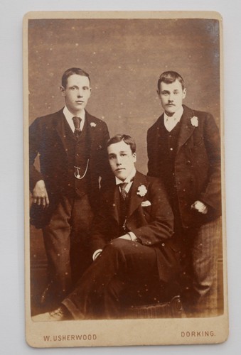 Cdv three young - cdv, victorian