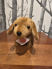 Tan Dachshund By Teddy Herman