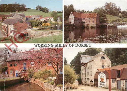 Picture postcard dorset - picture, postcard__dorset