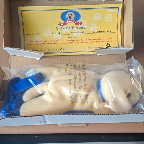 Andrex oscar puppy - andrex, dog