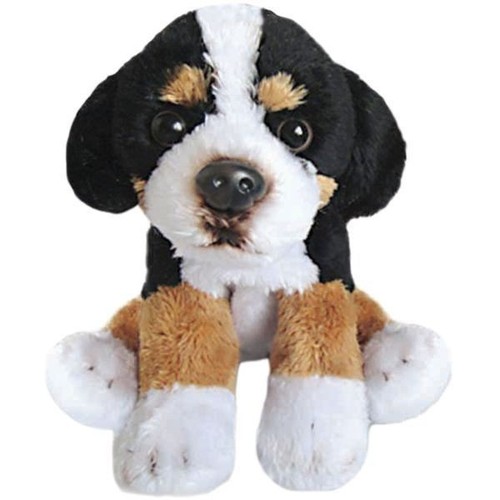 Yomiko sitting bernese - yomiko,