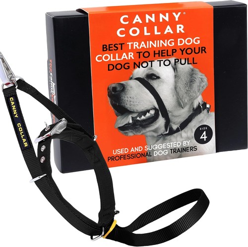 Canny pull dog training - canny,