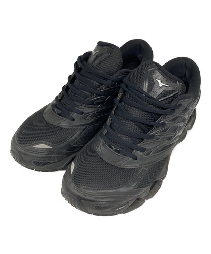 Mizuno wave prophecy - wave,
