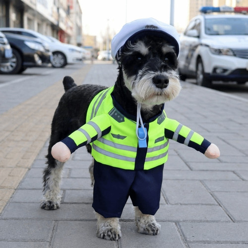 1xdog transformation costume - 1xdog,