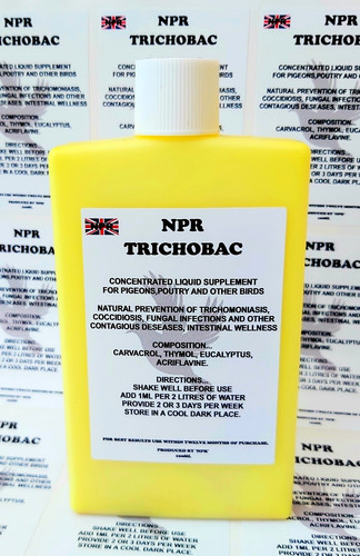 Trichobac racing pigeons - trichobac,