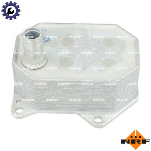 Oil cooler engine - cooler,