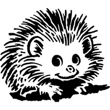 'African Pygmy Hedgehog'
