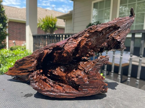 Driftwood malaysian aquariums - malaysian,