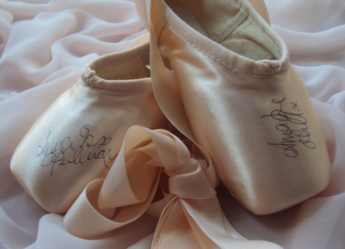 Pointe shoes signed anna - pointe,