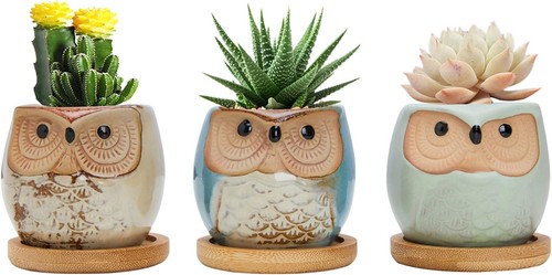 Owl succulent pots 6cm cute - 6cm,