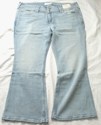 Hollister women short - hollister,