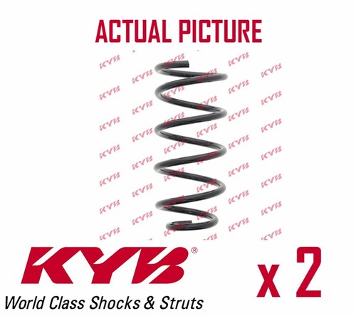 Rear axle coil spring - x,