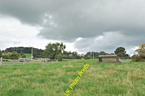 Photo 6x4 sheep hay - sheep,