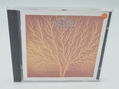 Van der graaf generator - generator,