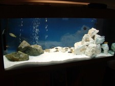 Pure White Aquarium Sand. Bulk Packs 1kg 2kg 5kg 10kg or 25kg Bag