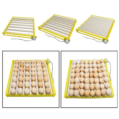 Automatic plastic egg - plastic,