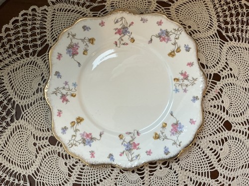 Royal stafford violets - stafford,