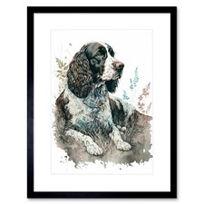 English Springer Spaniel Dog