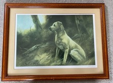 Signed Limited Edition Print