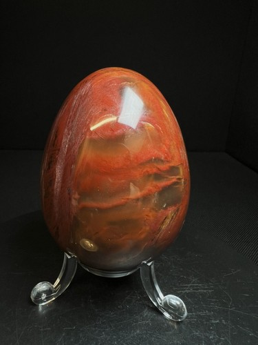Polished fossilized wood egg - fossilized,