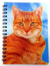 Ginger Cat 3D image on a