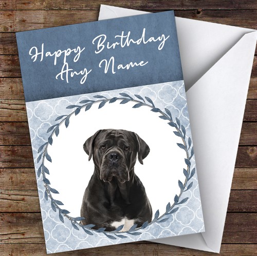 Cane corso dog blue animal - cane,