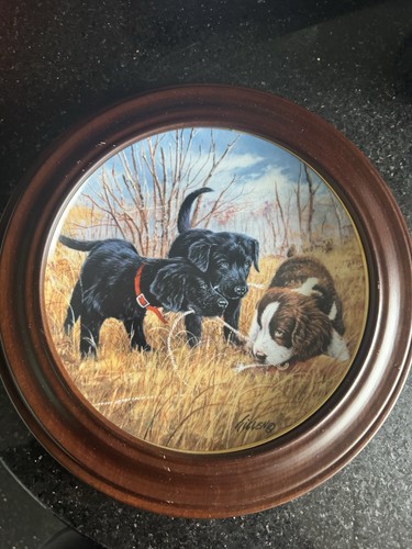 Franklin mint heirloom - franklin,