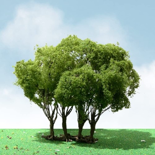 Jtt pro elite tree privet - pro-elite,