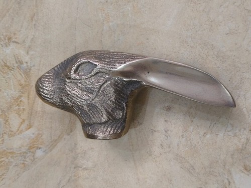 Rabbit head walking - head,
