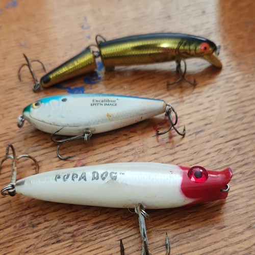 Excalibur popa dog lot - &,