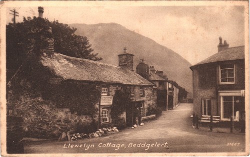Llewelyn cottage beddgelert - llewelyn,