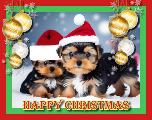 Christmas greeting card - greeting,
