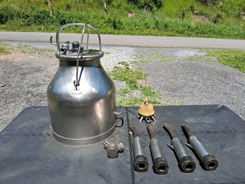 Delaval milk bucket - delaval,