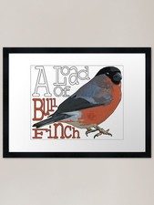 A load of BULLFINCH Framed Art